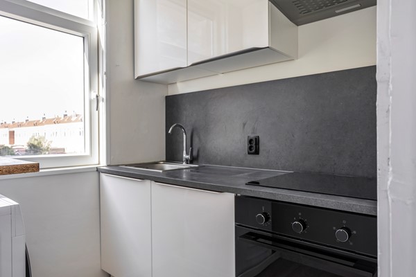 30 Groen van Prinstererstraat 58 Vlaardingen.jpg